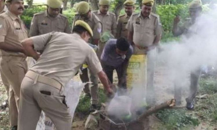 50 kg of contraband disposed in Sitapur