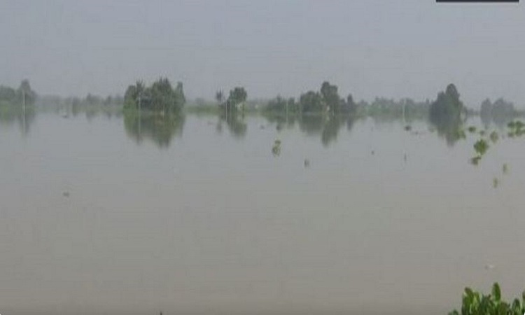 Water level rises in Brahmaputra River in Assam's Morigaon district