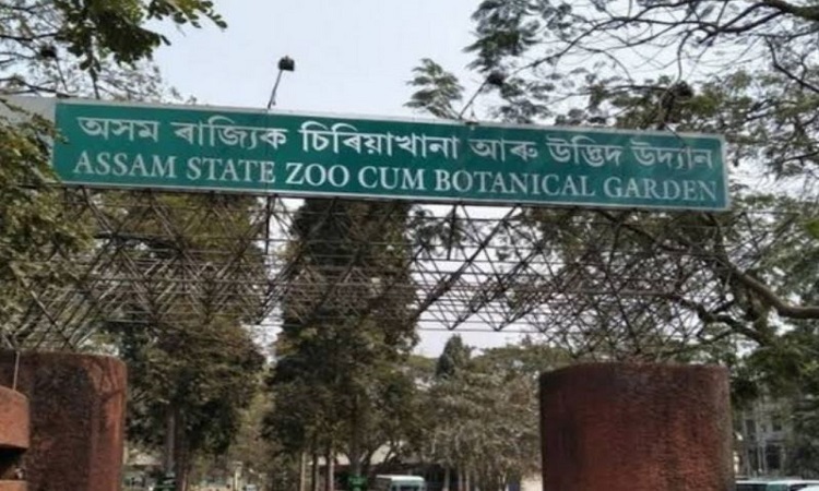 Assam State Zoo Botanical Garden