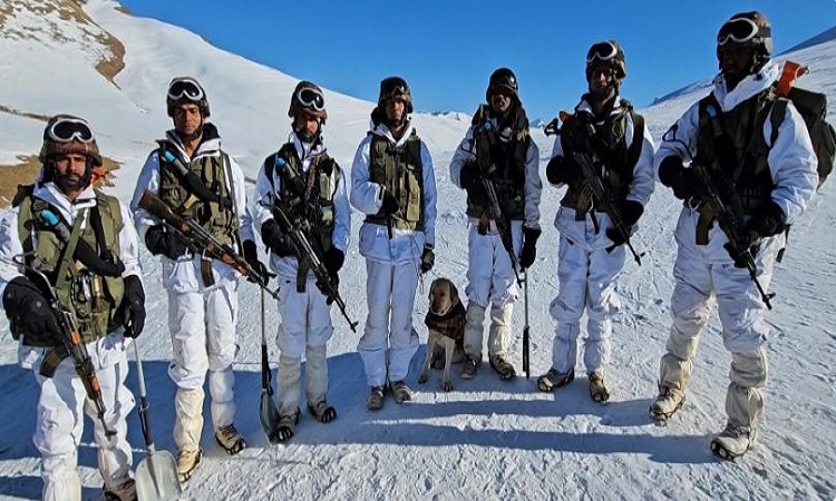 Army soldiers and canine team showcase Avalanche rescue skills