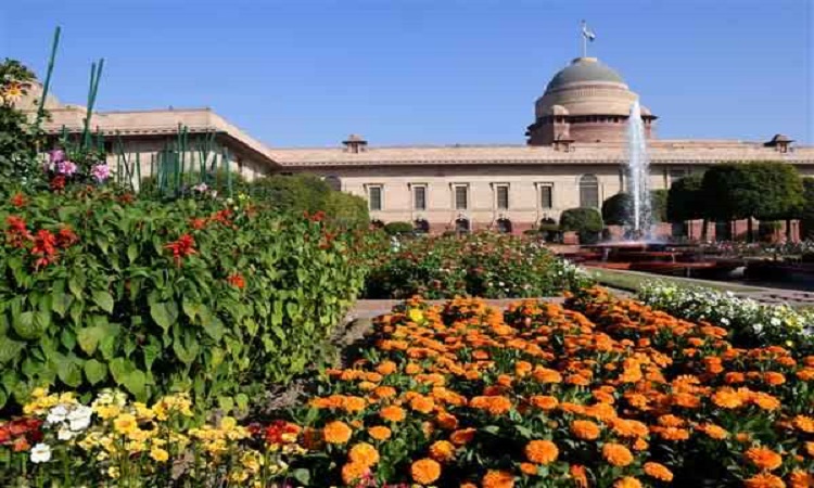 Rashtrapati Bhavan Amrit Udyan to open for public from Feb 2