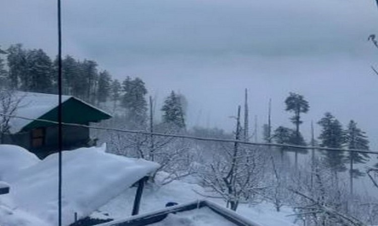Thick blanket of snow covers hillstation Shimla
