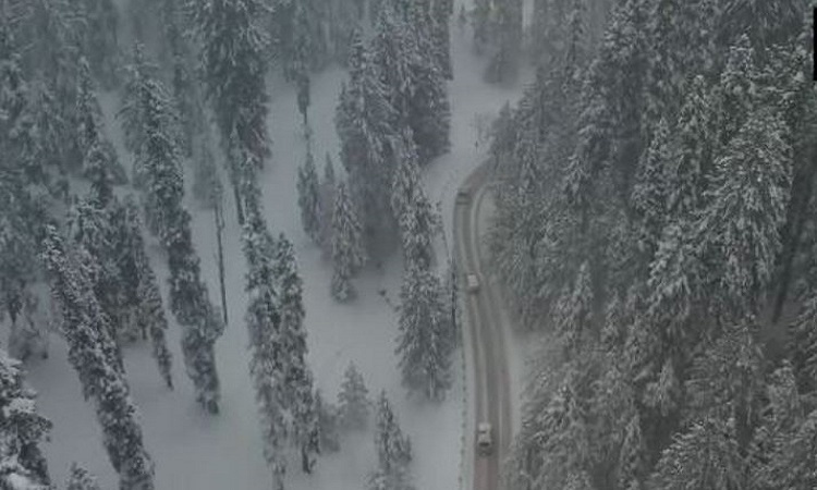 J&K's Gulmarg being covered in a thick blanket of snow on Monday