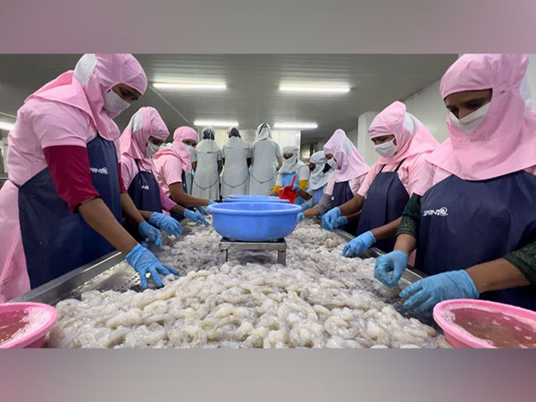 Women working in sea and shrimp processing facility unit