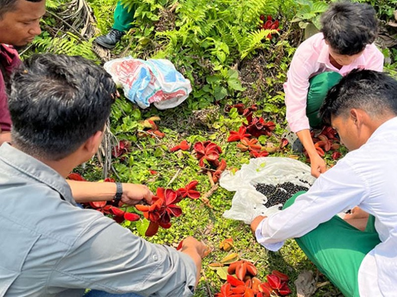 Students and community members collect seeds to restore elephant habitats in Assam